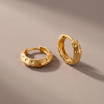 Alden 18K Gold Plated Men's Earing