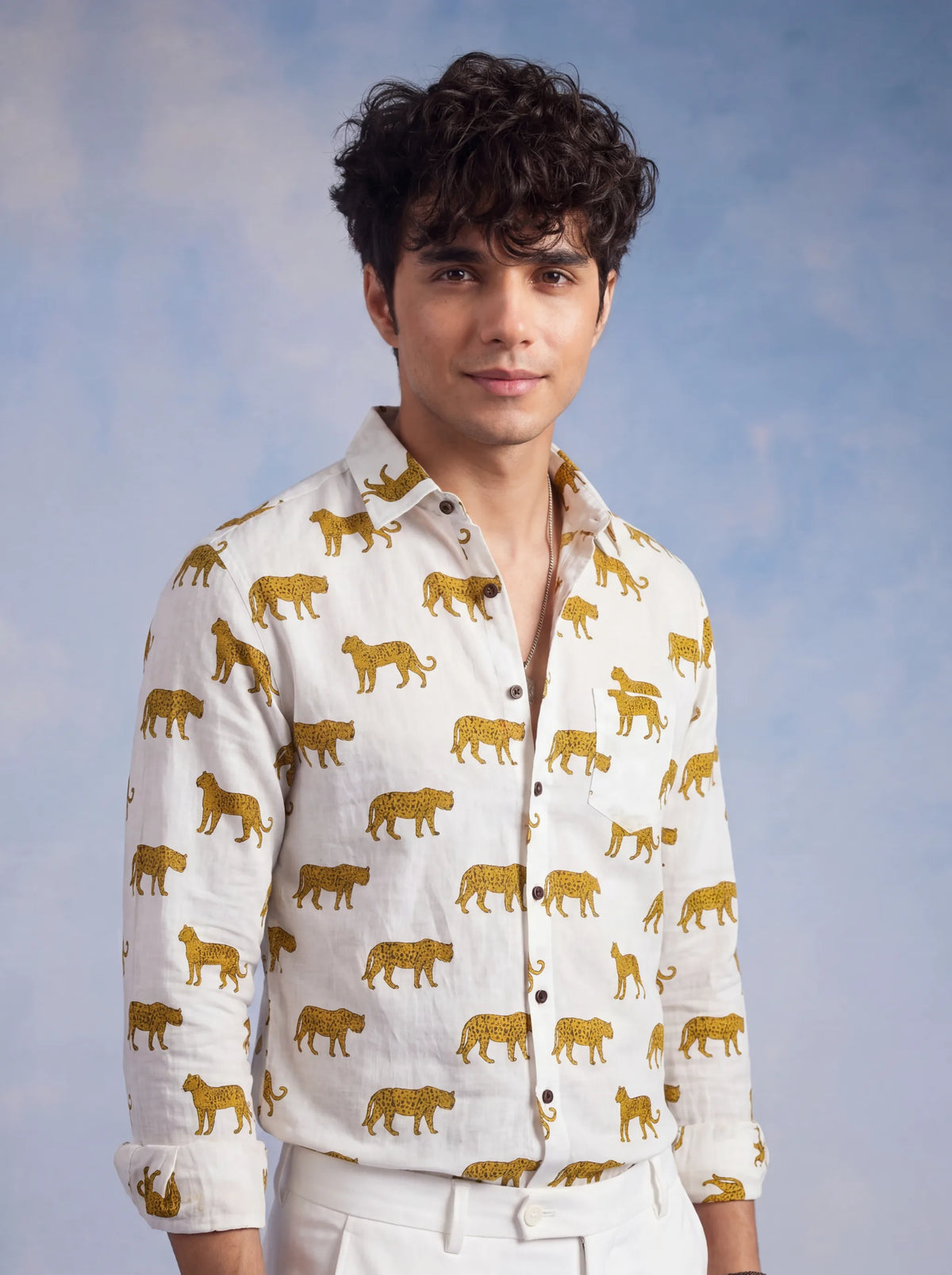 The Cheetah