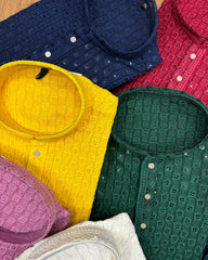 Red Chikankari Sequin Kurta