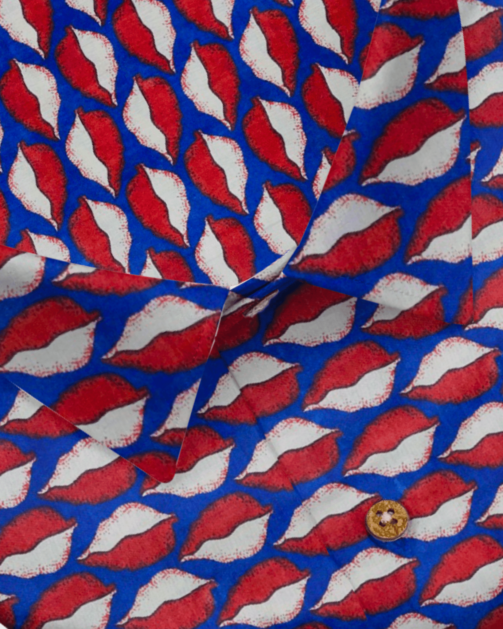 Jazz Fusion - Jaipuri Crown