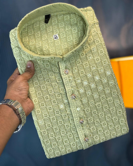 Light green Chikankari Sequinned Kurta - Jaipuri Crown
